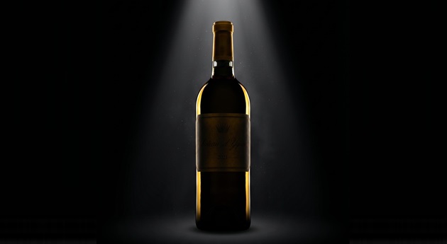 The Global Debut of the 2024 'Y' Ygrec