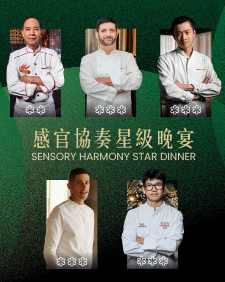 Sensory Harmony Star Dinner