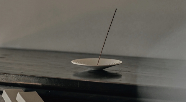 GLP Exclusive Offers - Special Offer