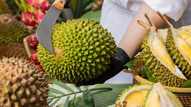 デレクタブル ドリアン カーニバル