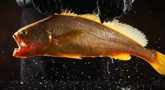 The Harmony of Ningbo Cuisine