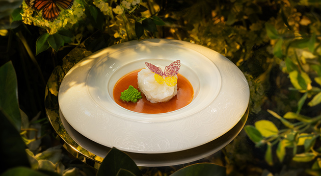 Peony King Tiger Prawn 