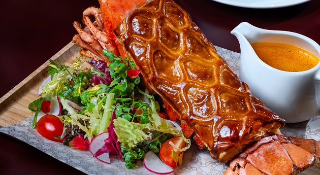 Winter Limited Creation