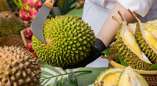 glp-tgb-delectable-durian-carnival